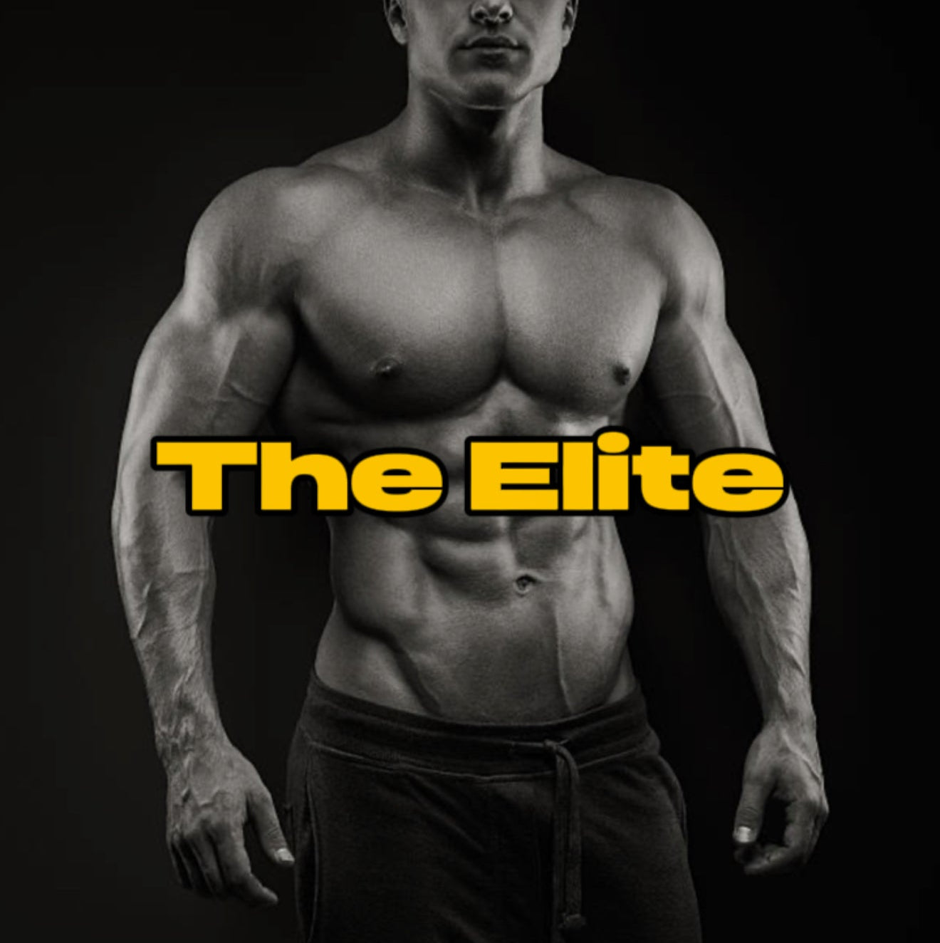 THE ELITE TRAINING PROGRAM